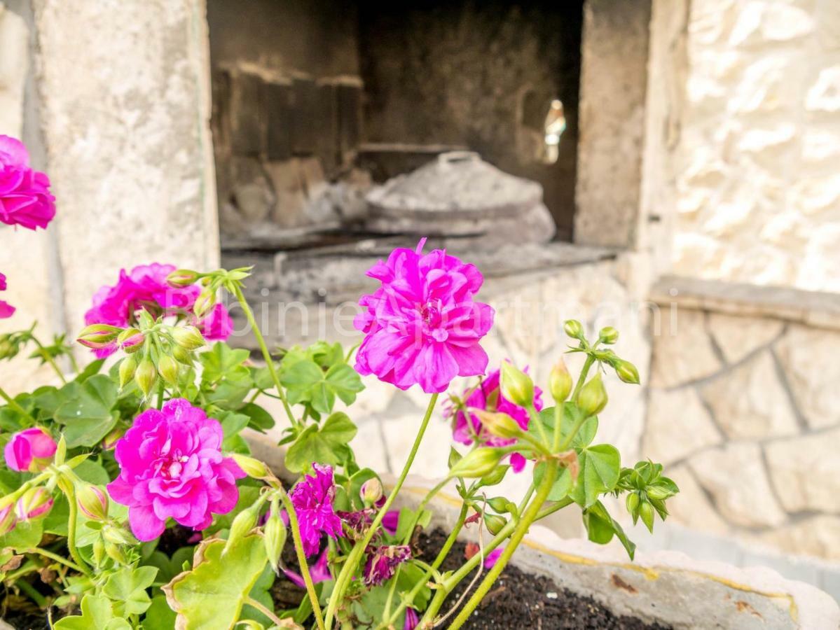 Ana I Ljubo Apartment ซูโกชัน ภายนอก รูปภาพ